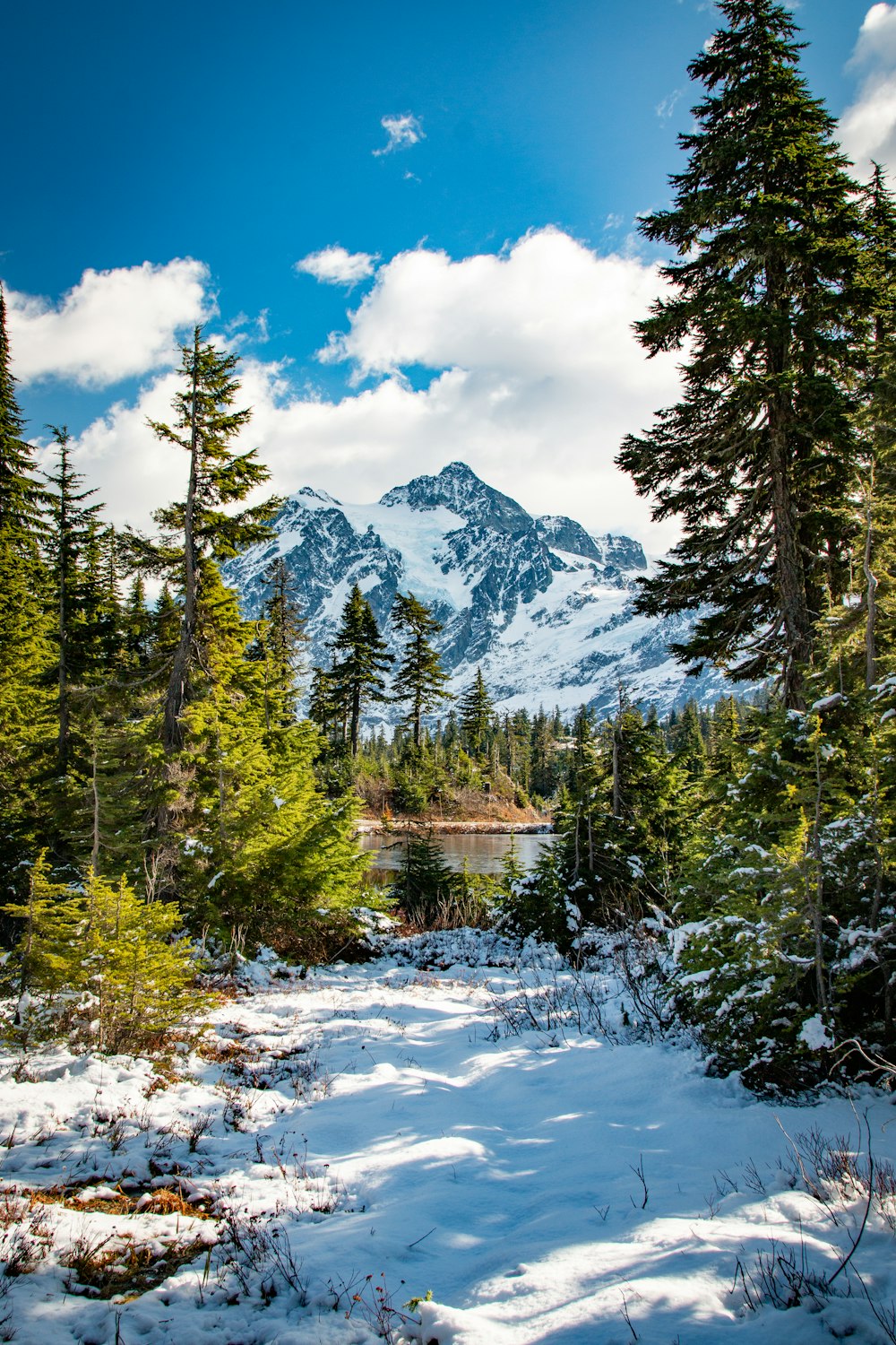 green trees near snow covered mountains under cloudy sky