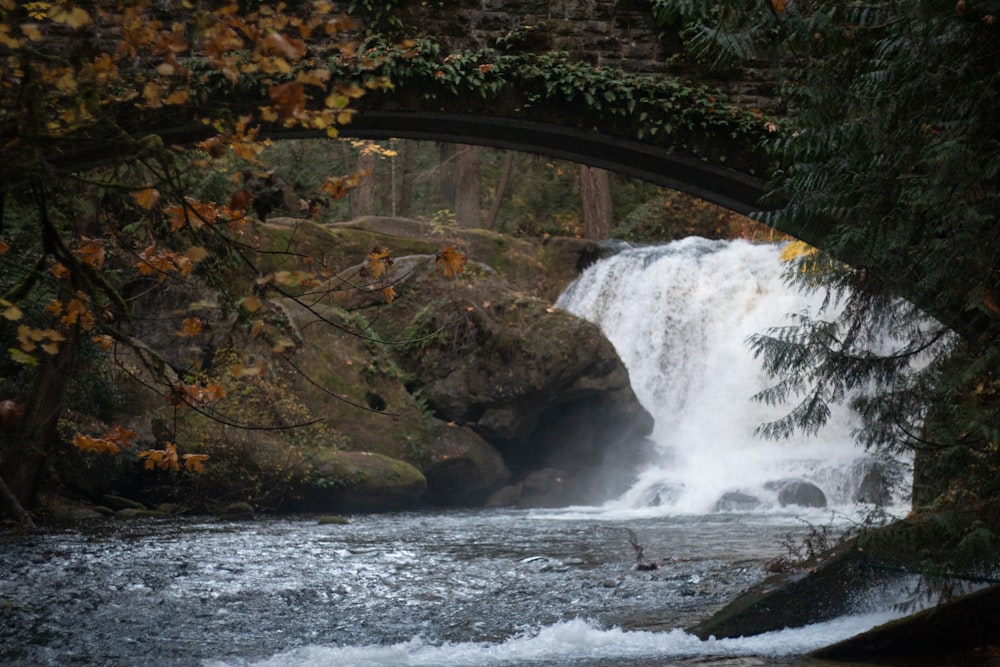 waterfalls surrounded with green trees during daytime