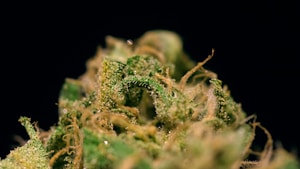 THCA Flower