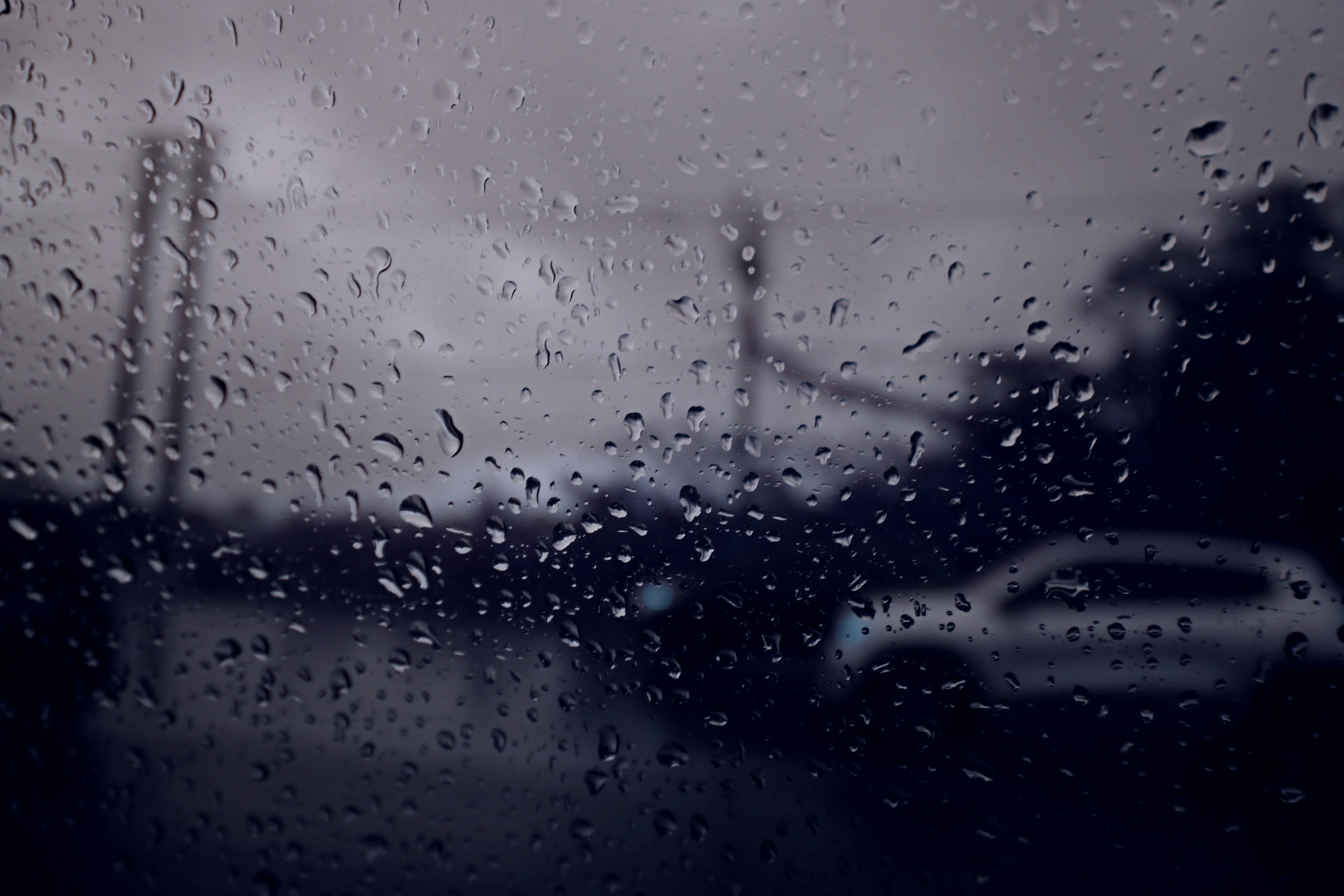 Photo by giovanna_os