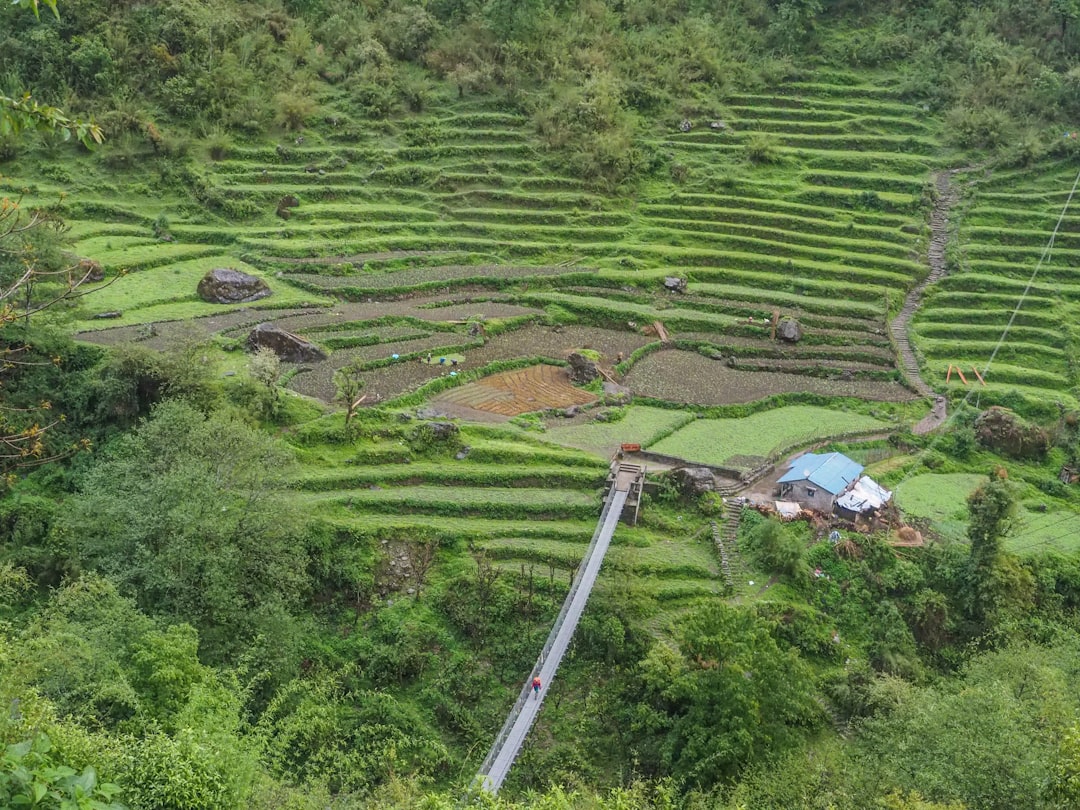 aerial photography of Banaue Rice Terraces