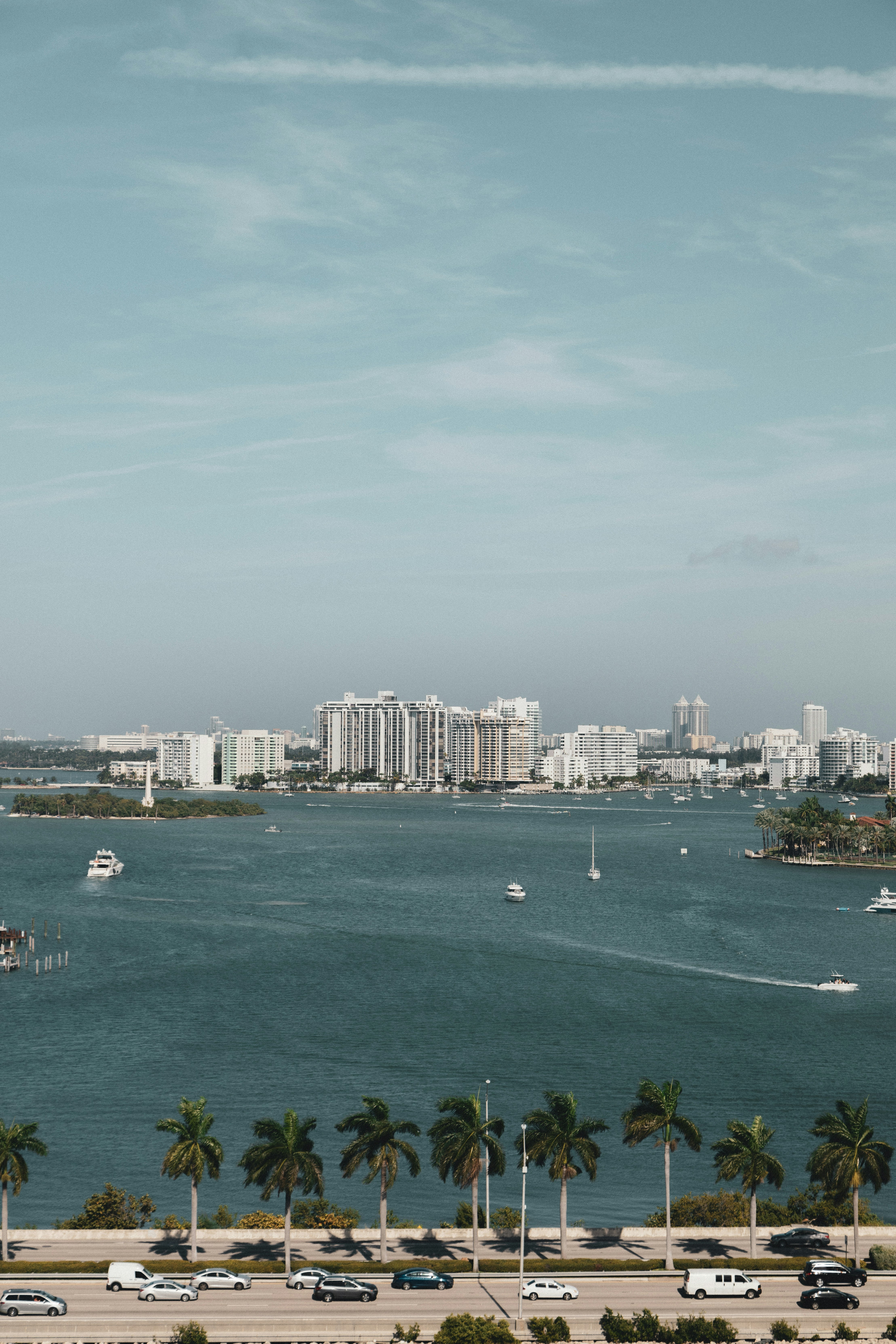 bird's eye photography of city near body of water