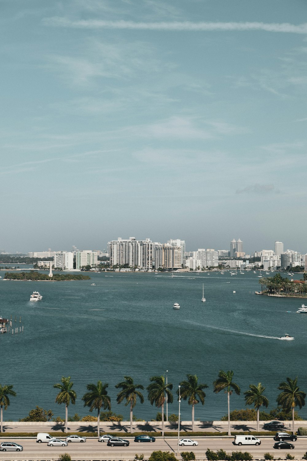 bird's eye photography of city near body of water