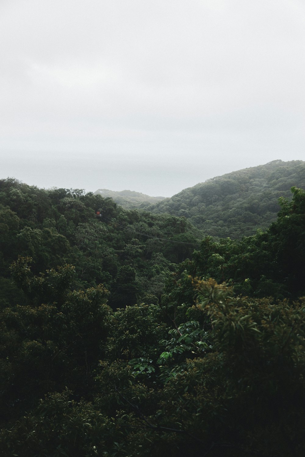 aerial photography of green trees in the mountain during daytime