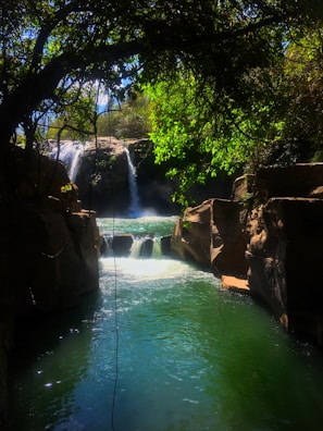 Lush jungle trail leading to a hidden waterfall sparkling in the sunlight.