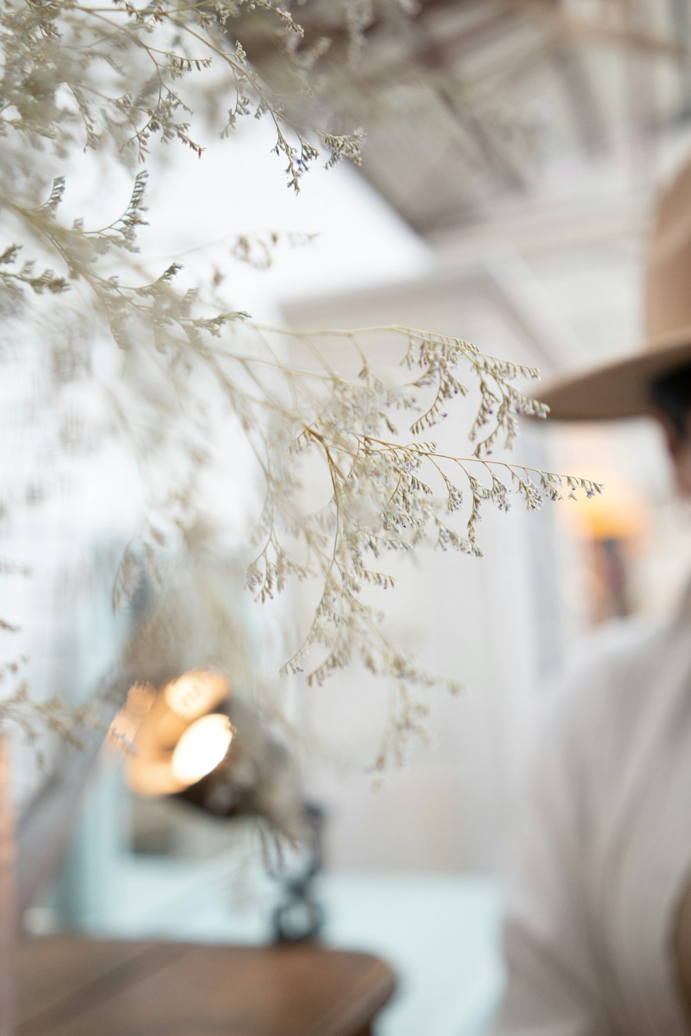 shallow focus photo of white plants