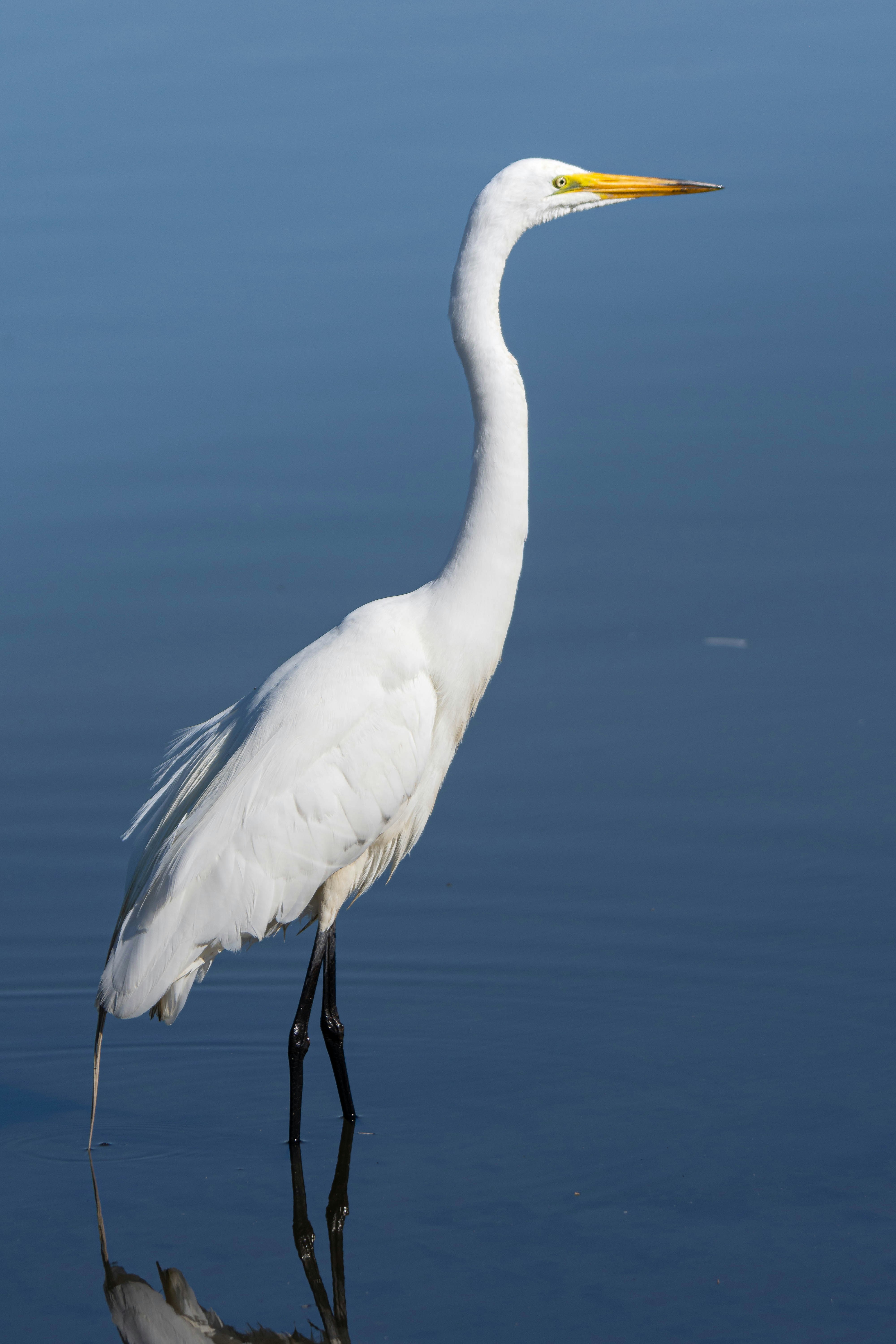 Photo by tuninglever