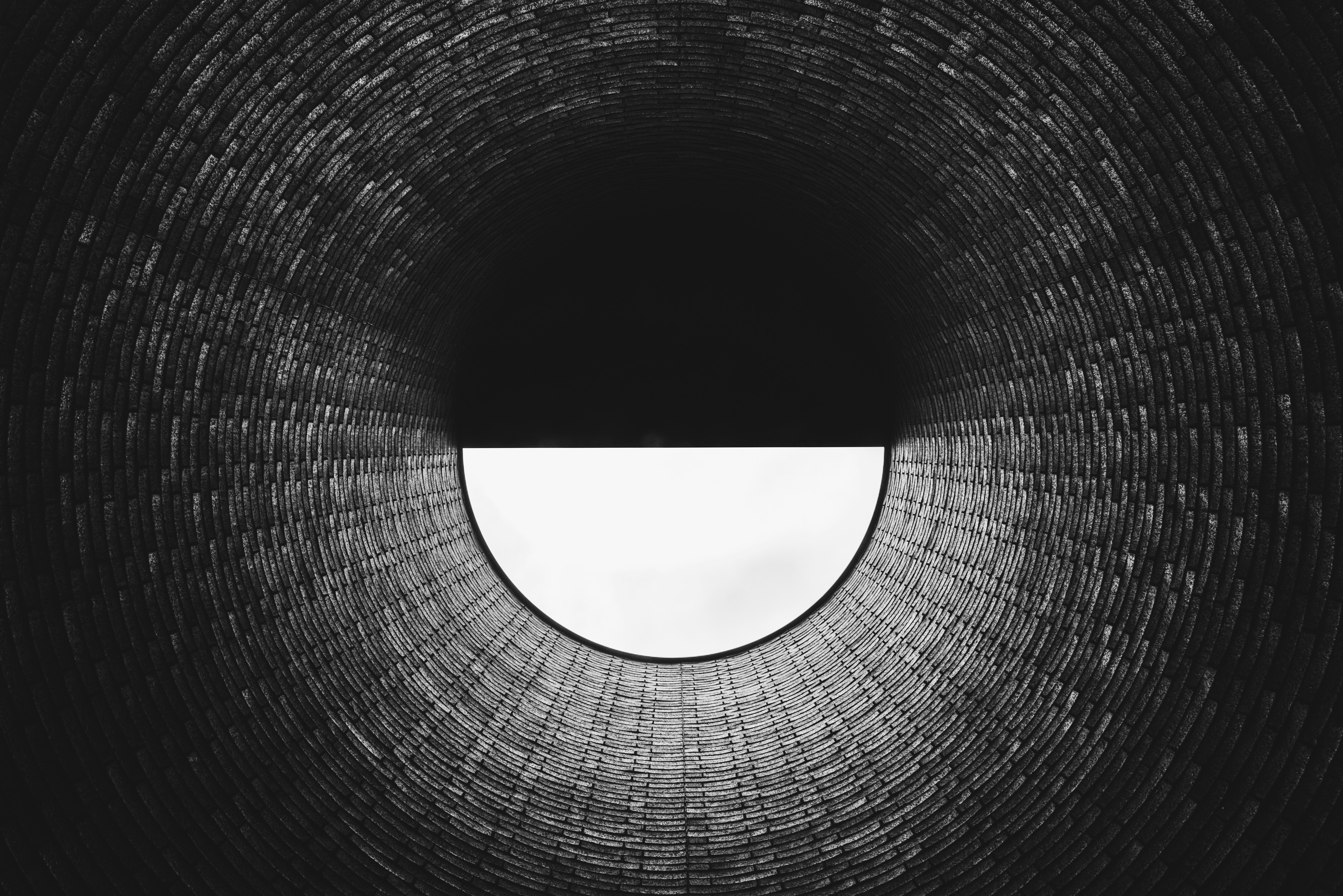 Photo by fernthephotographer