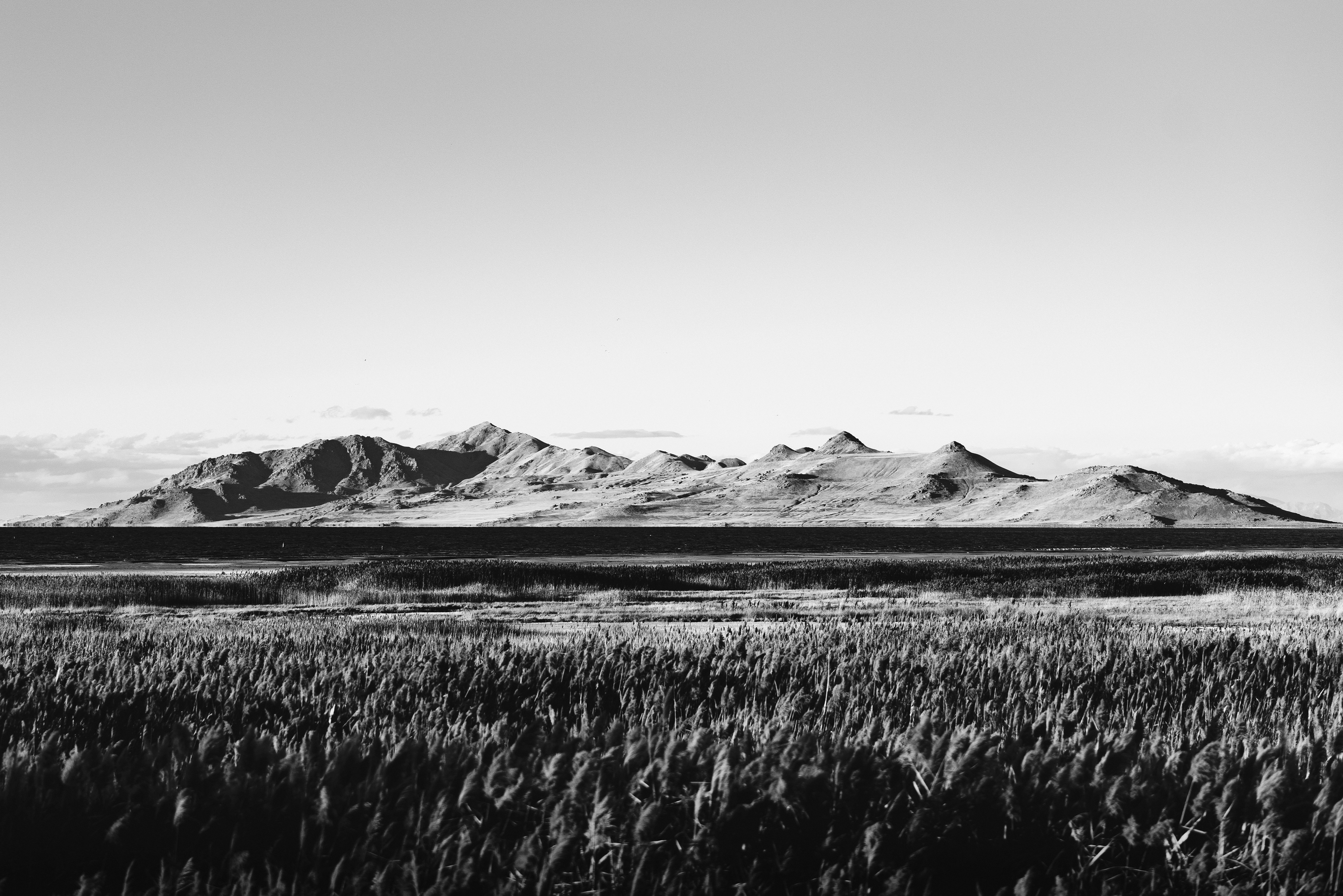 Photo by fernthephotographer