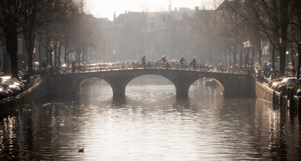 silhouette of bridge