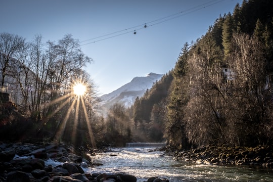 trees beside river in Mayrhofen Austria