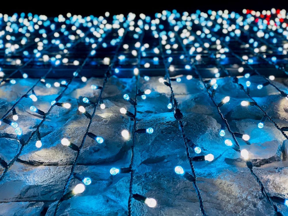 blue and white string lights