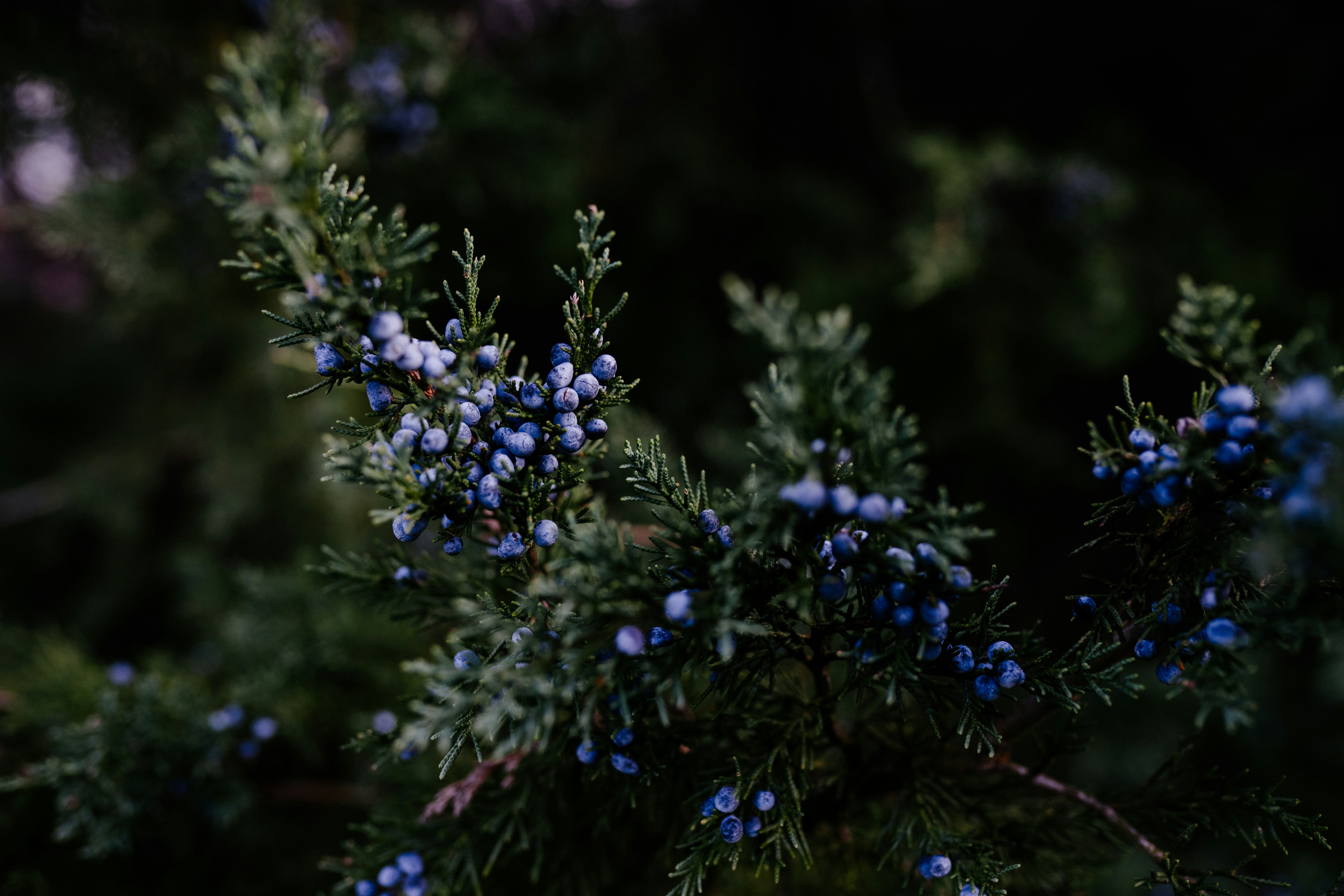 Photo by coreymoconnell1