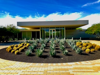 A modern building with a flat roof is surrounded by desert landscaping, including agave plants and golden barrel cacti on either side of a walkway made of light-colored bricks. The structure features a glass entrance and is set against a backdrop of a clear blue sky with a few wispy clouds.