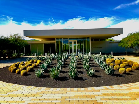 A modern building with a flat roof is surrounded by desert landscaping, including agave plants and golden barrel cacti on either side of a walkway made of light-colored bricks. The structure features a glass entrance and is set against a backdrop of a clear blue sky with a few wispy clouds.