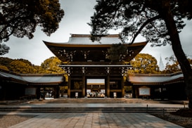 A traditional Japanese shrine set against a lush forest background. The architecture showcases intricate wooden details and a distinct roof style. Large trees frame the scene, adding a natural ambiance, while a stone pathway leads to the entrance.