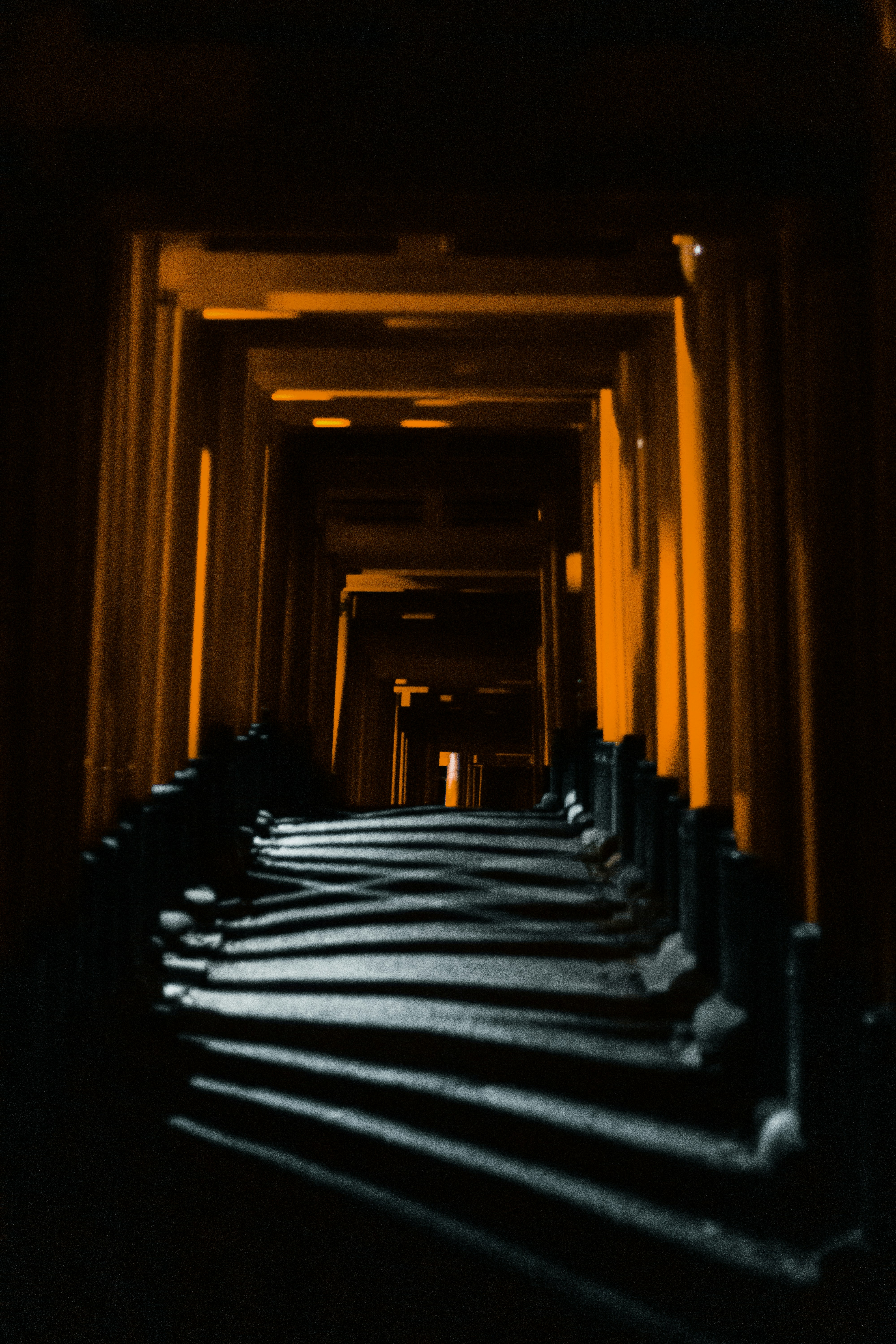 Photo by shunyakoide