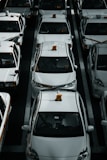 line of white vehicles