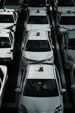 line of white vehicles