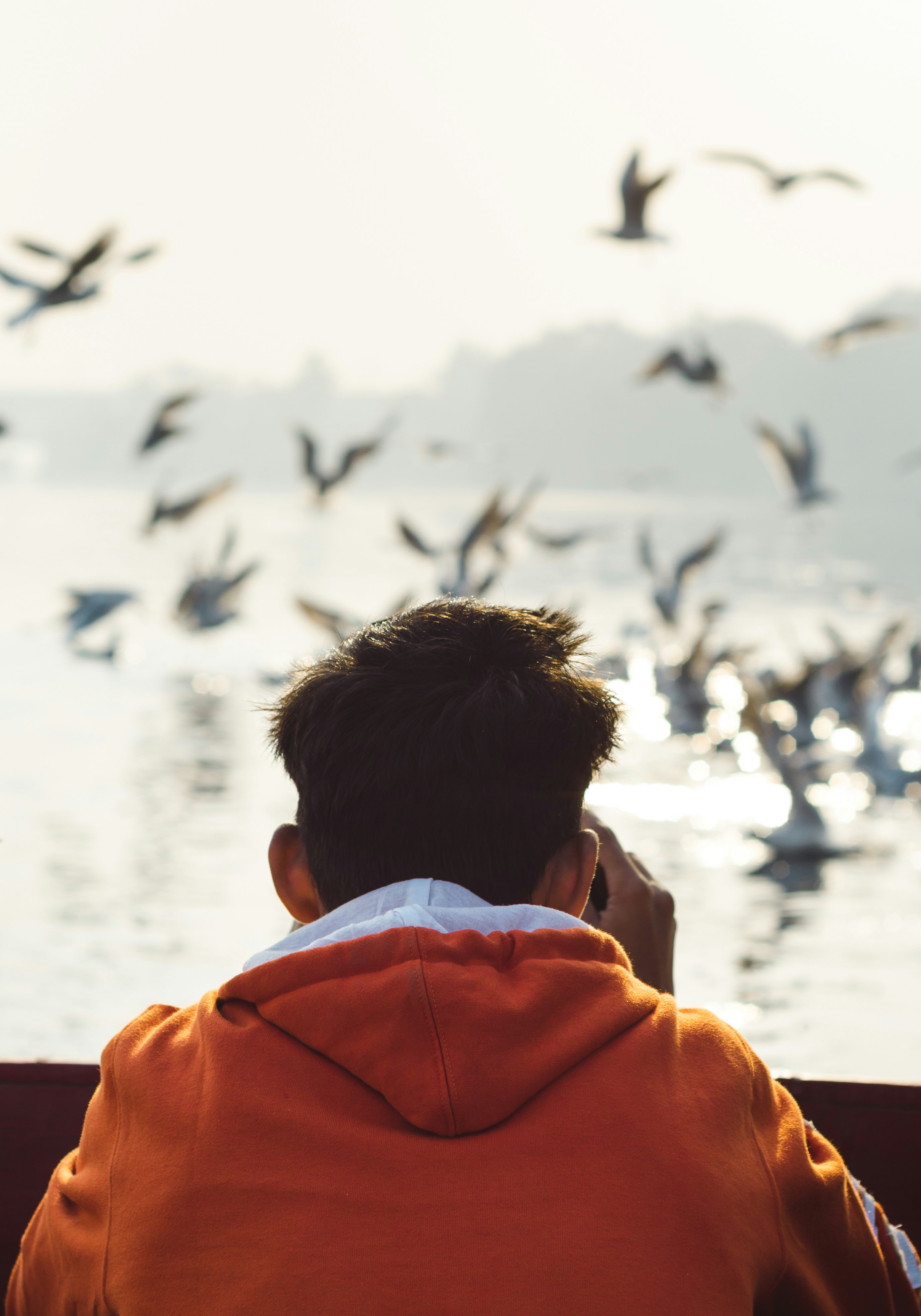 close-up photography of man watching on birds