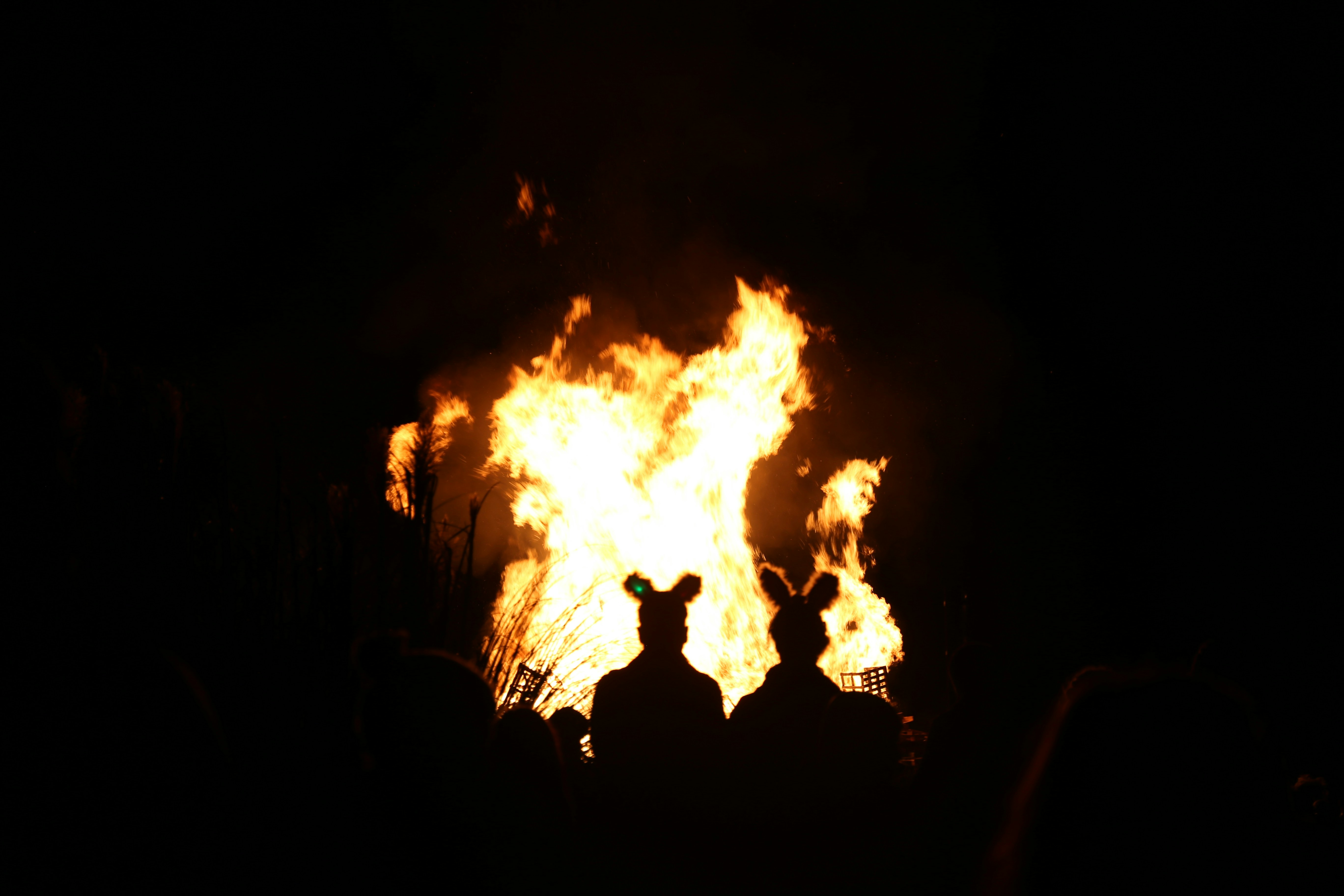 silhouette of people in front of bonfire