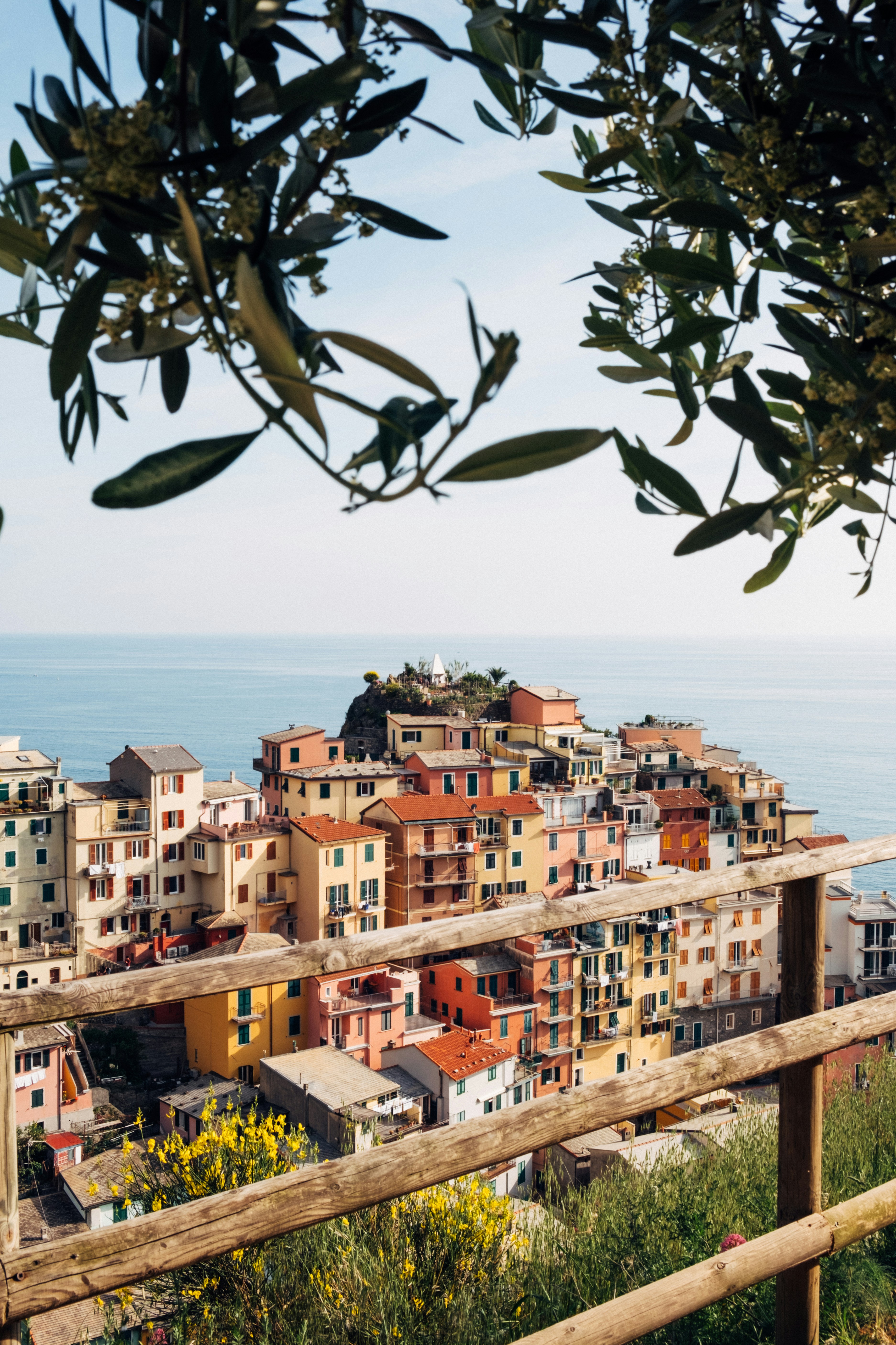 Photo by alex_akimenko