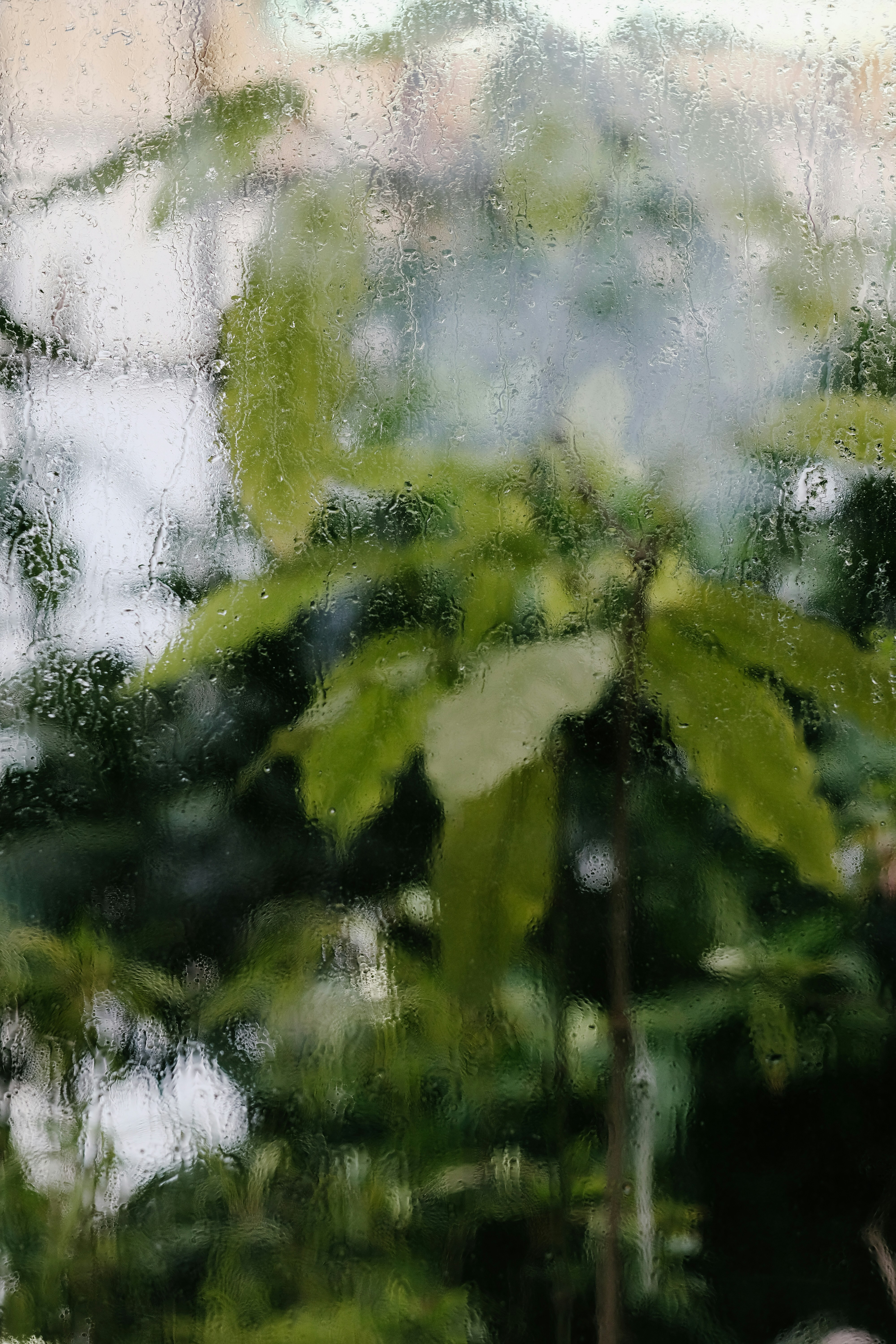 Photo by alex_akimenko