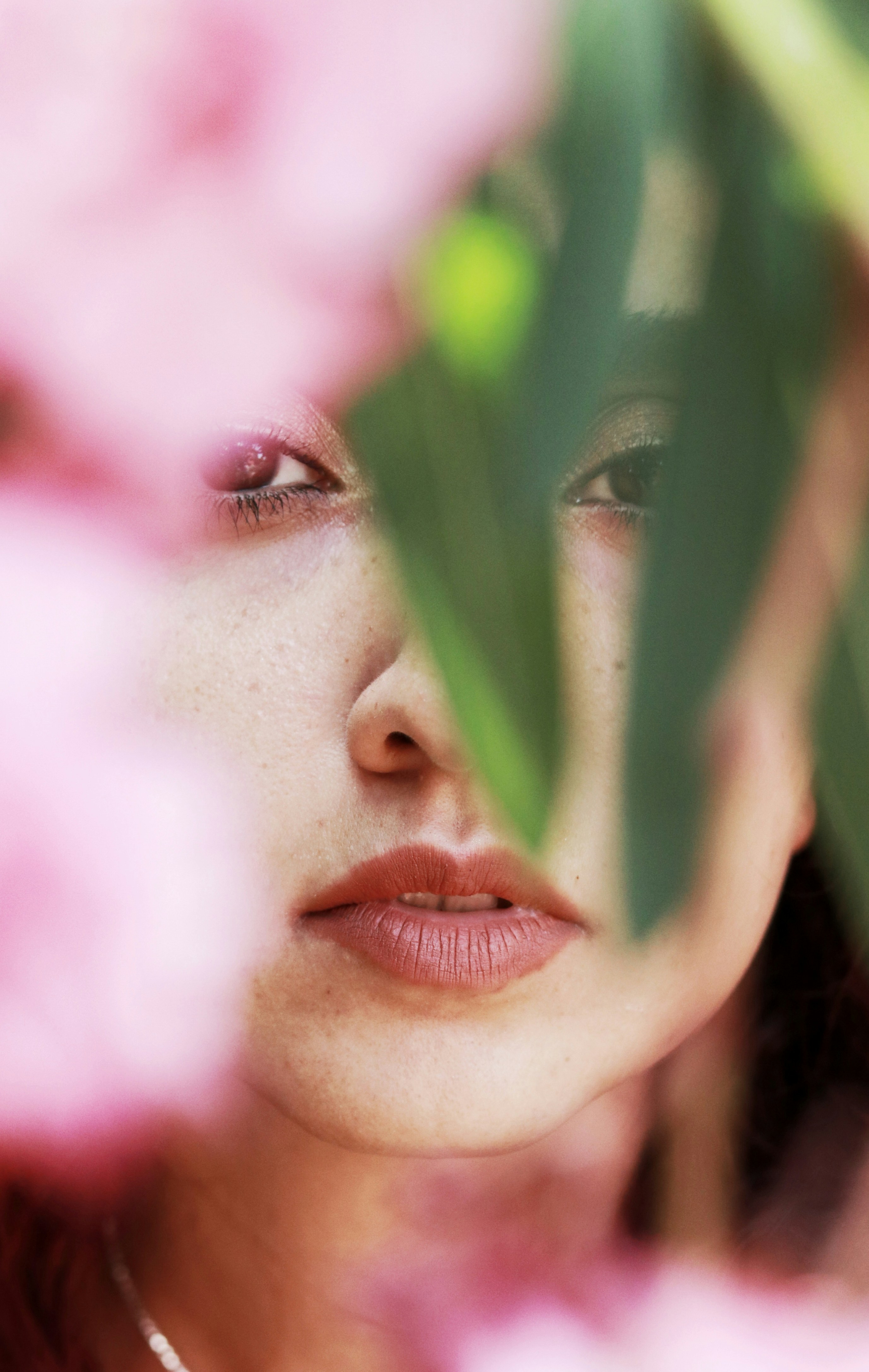 Photo by elahemotamedi