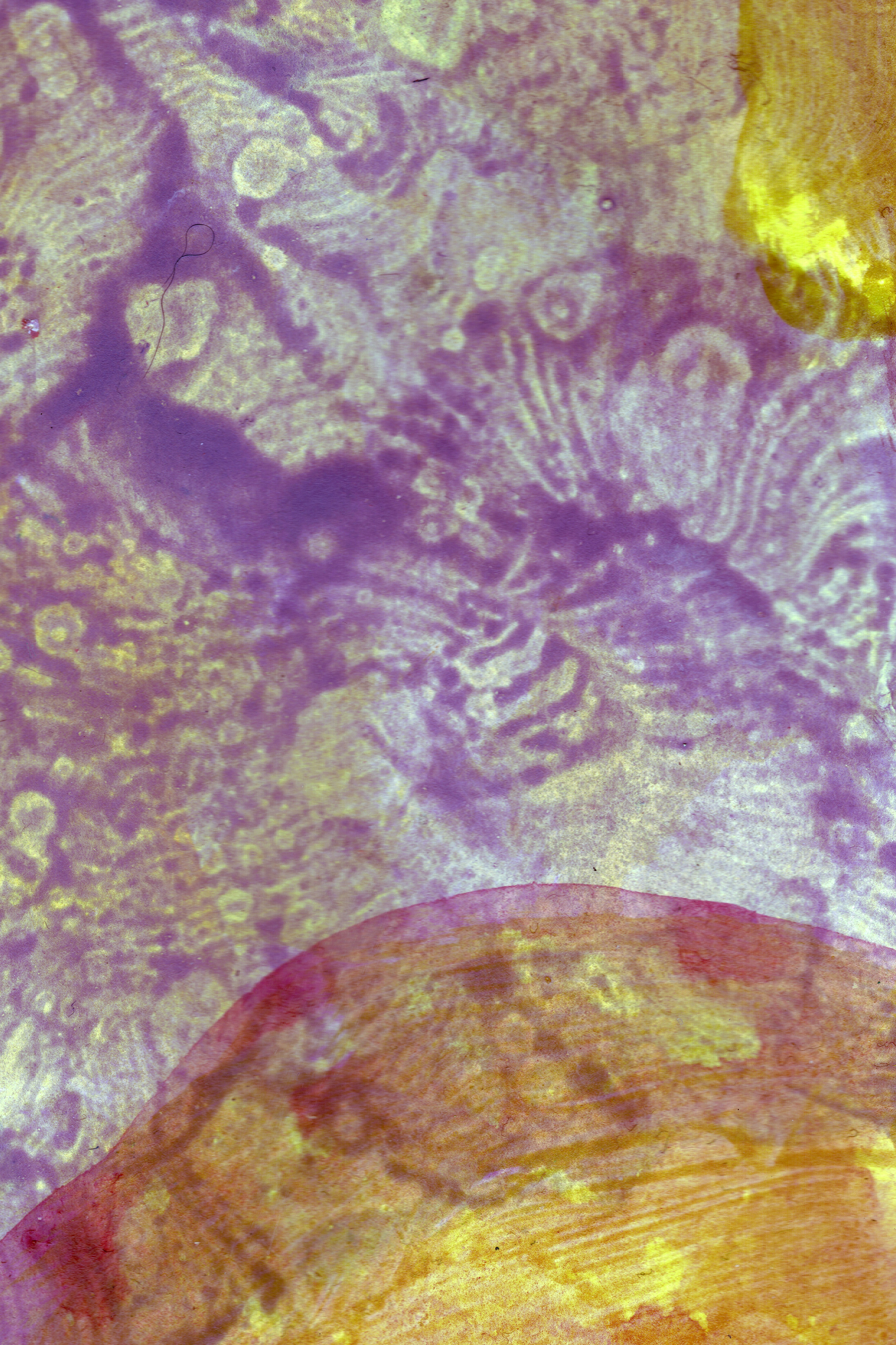 Photo by sensoryarthouse