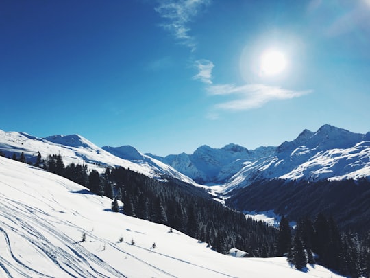 trees on snow-covered hill in Davos Switzerland