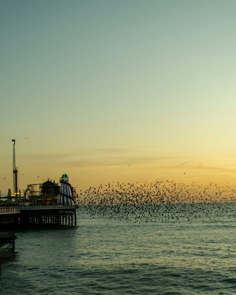Zeitrafferfotografie eines Vogelschwarms, der über das Meer fliegt