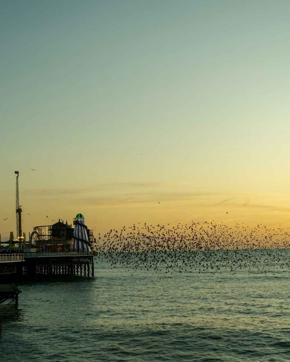 Photographie en accéléré d’une volée d’oiseaux volant au-dessus de la mer