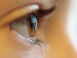 shallow focus photo of person brown iris