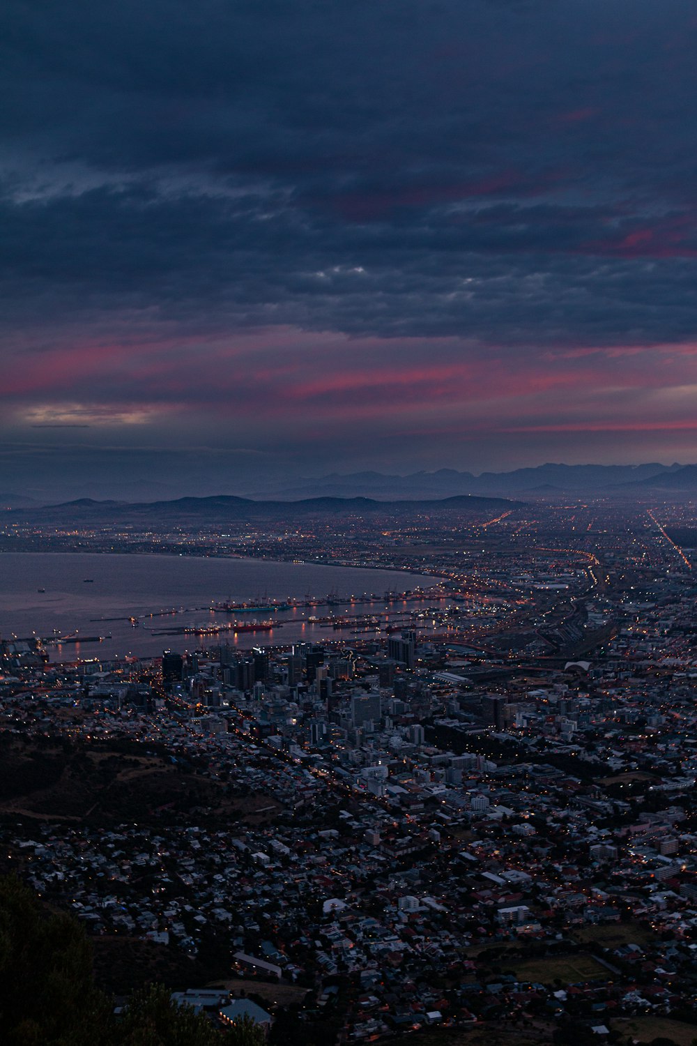 bird's eye photography of city