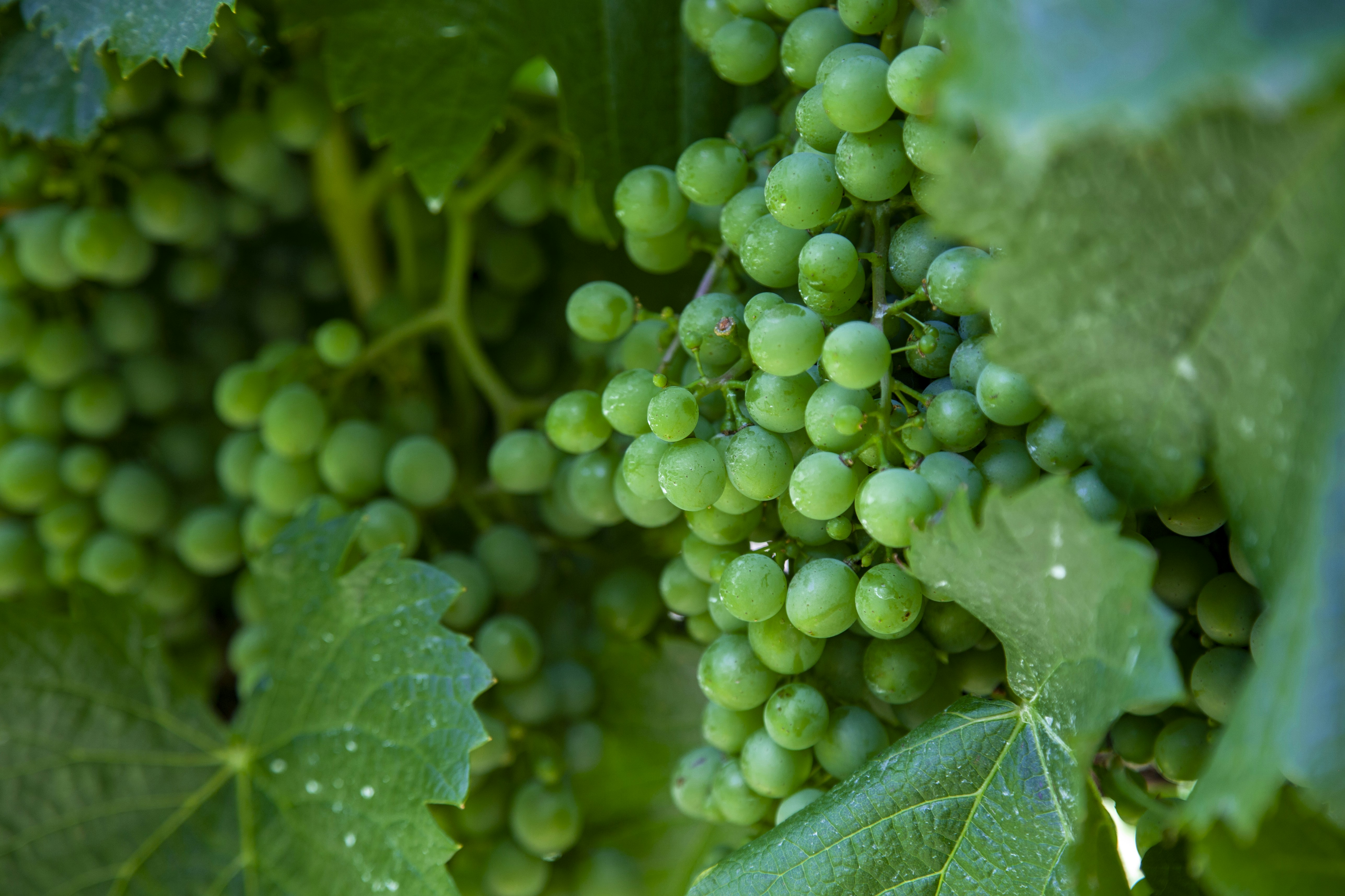 Photo by shaunmcreatives