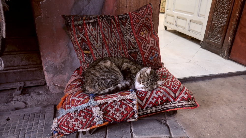 tabby cat sleeping on top of a pillow