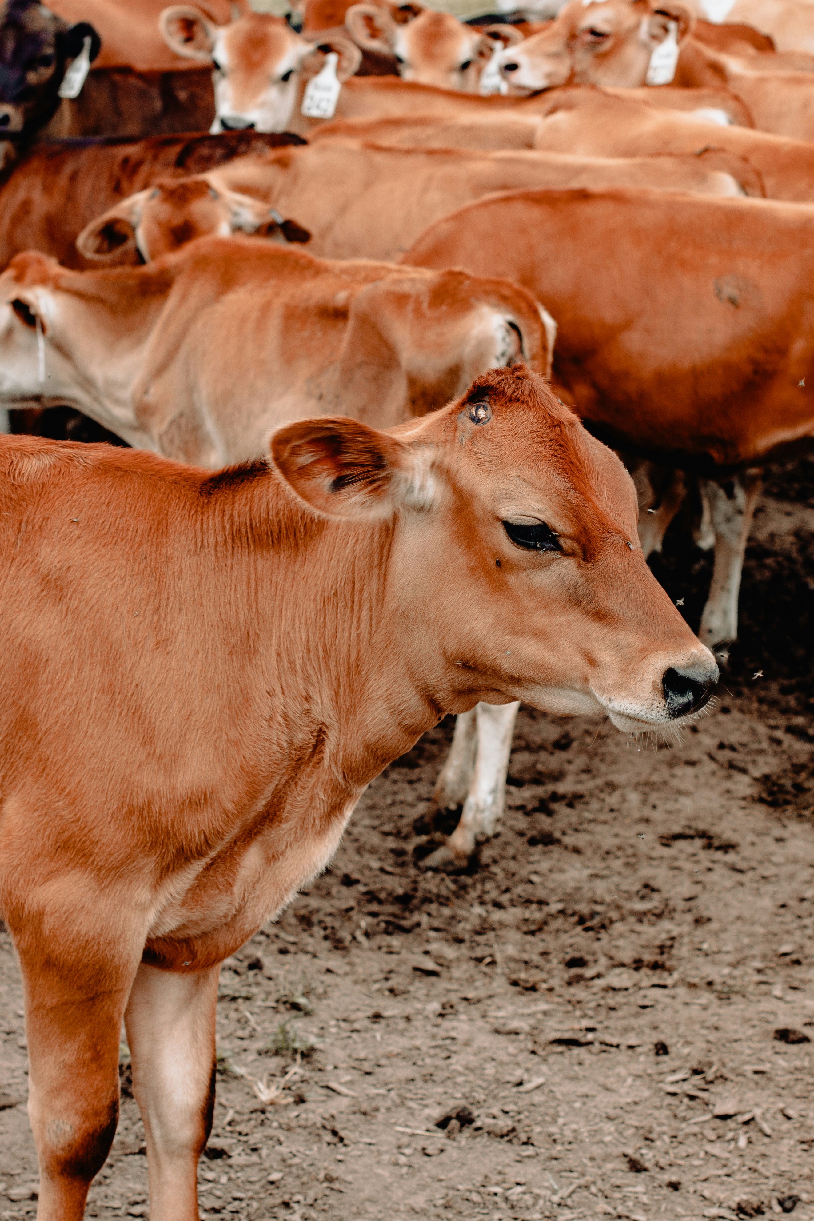 Photo by sincerelymedia