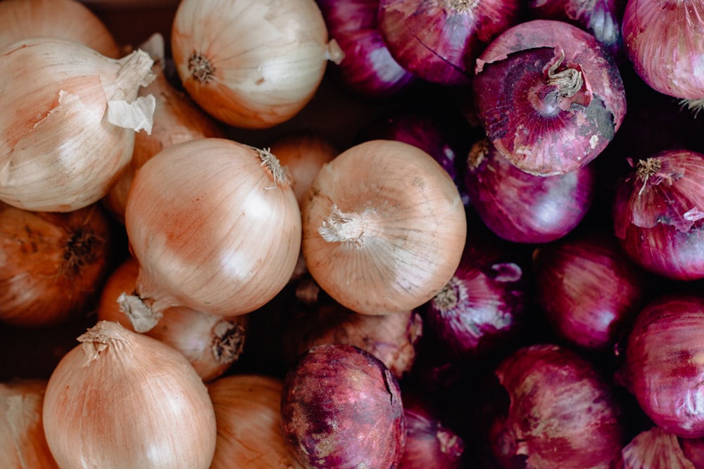 Bulbos de cebolla roja y blanca