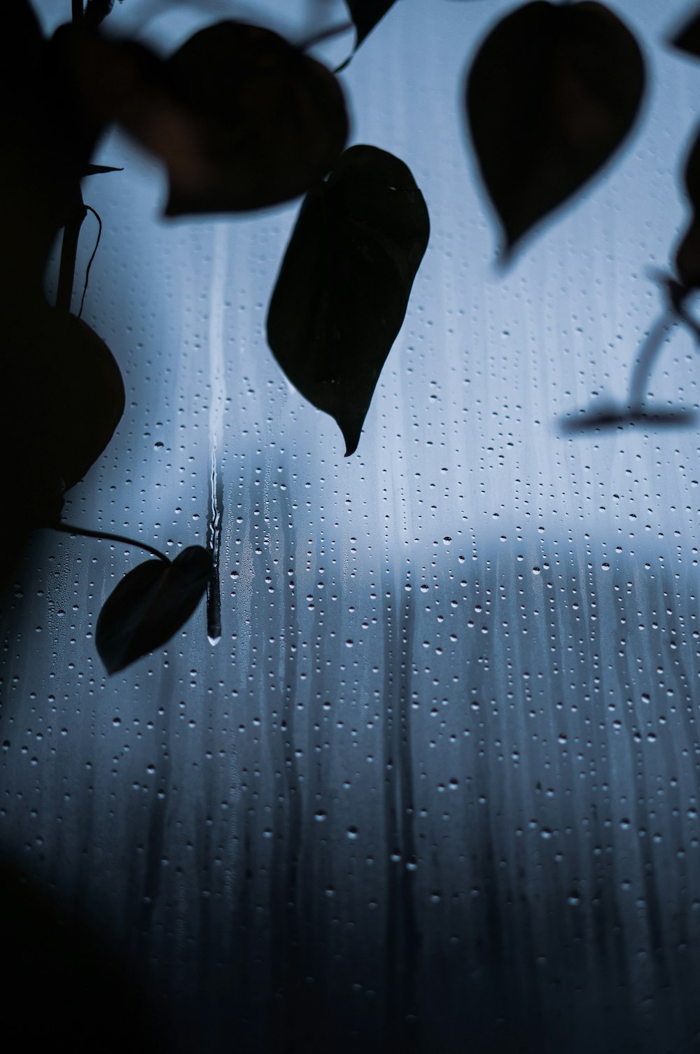 a window with rain drops on the glass