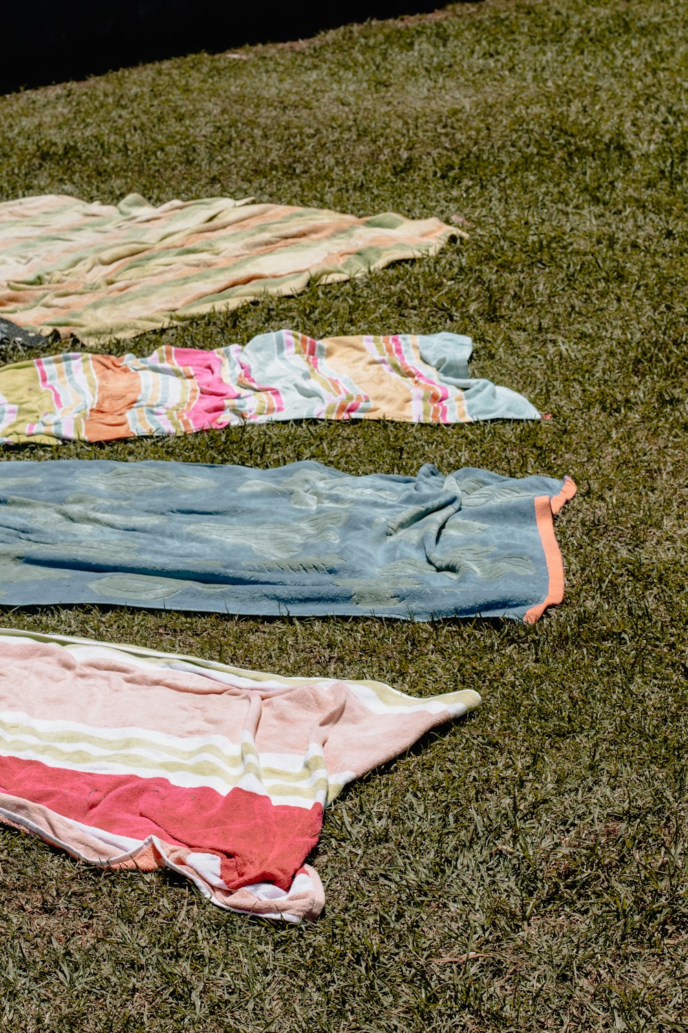 a group of clothes laying on top of a lush green field