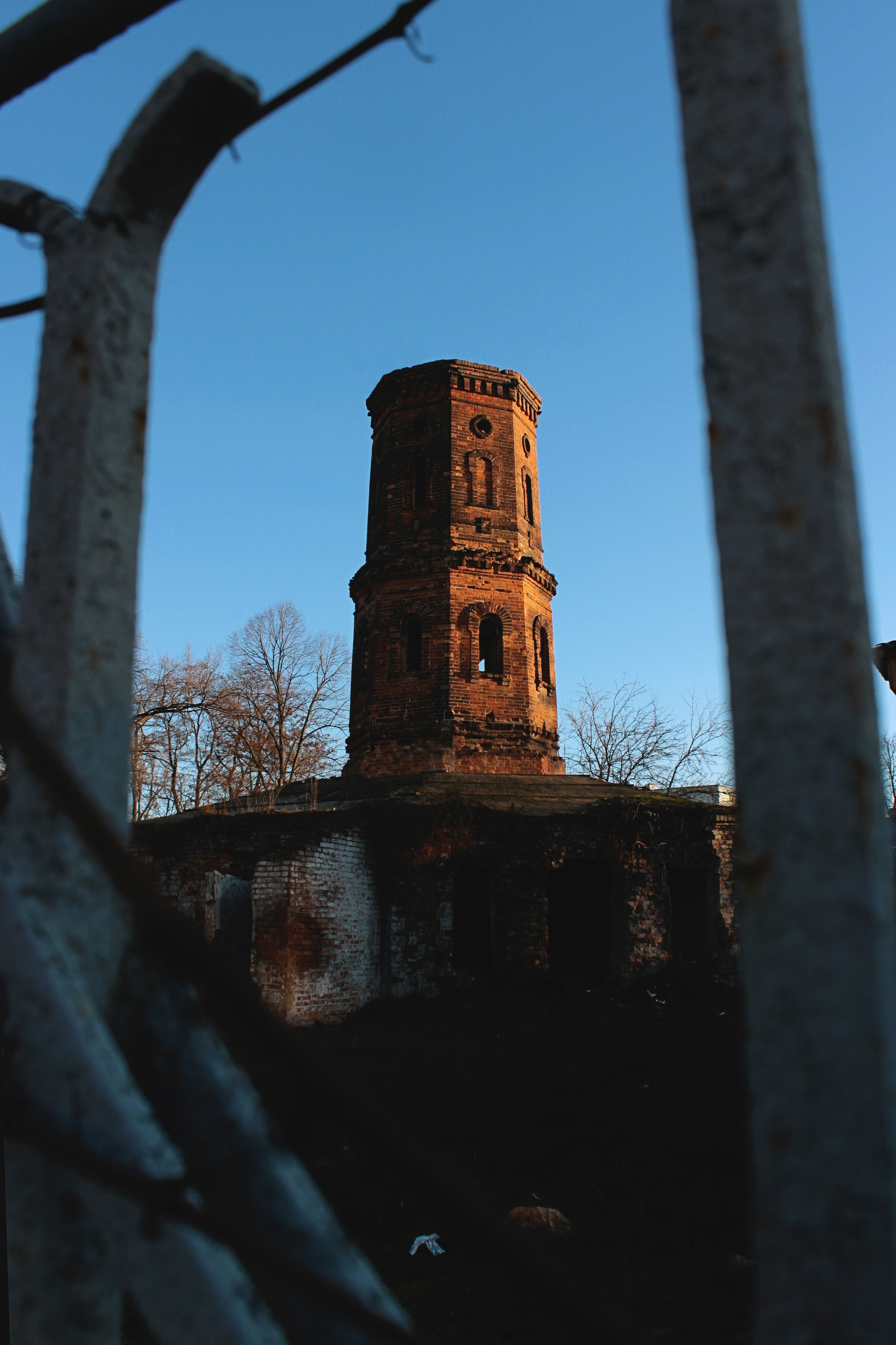 Photo by iamfrancismorgan