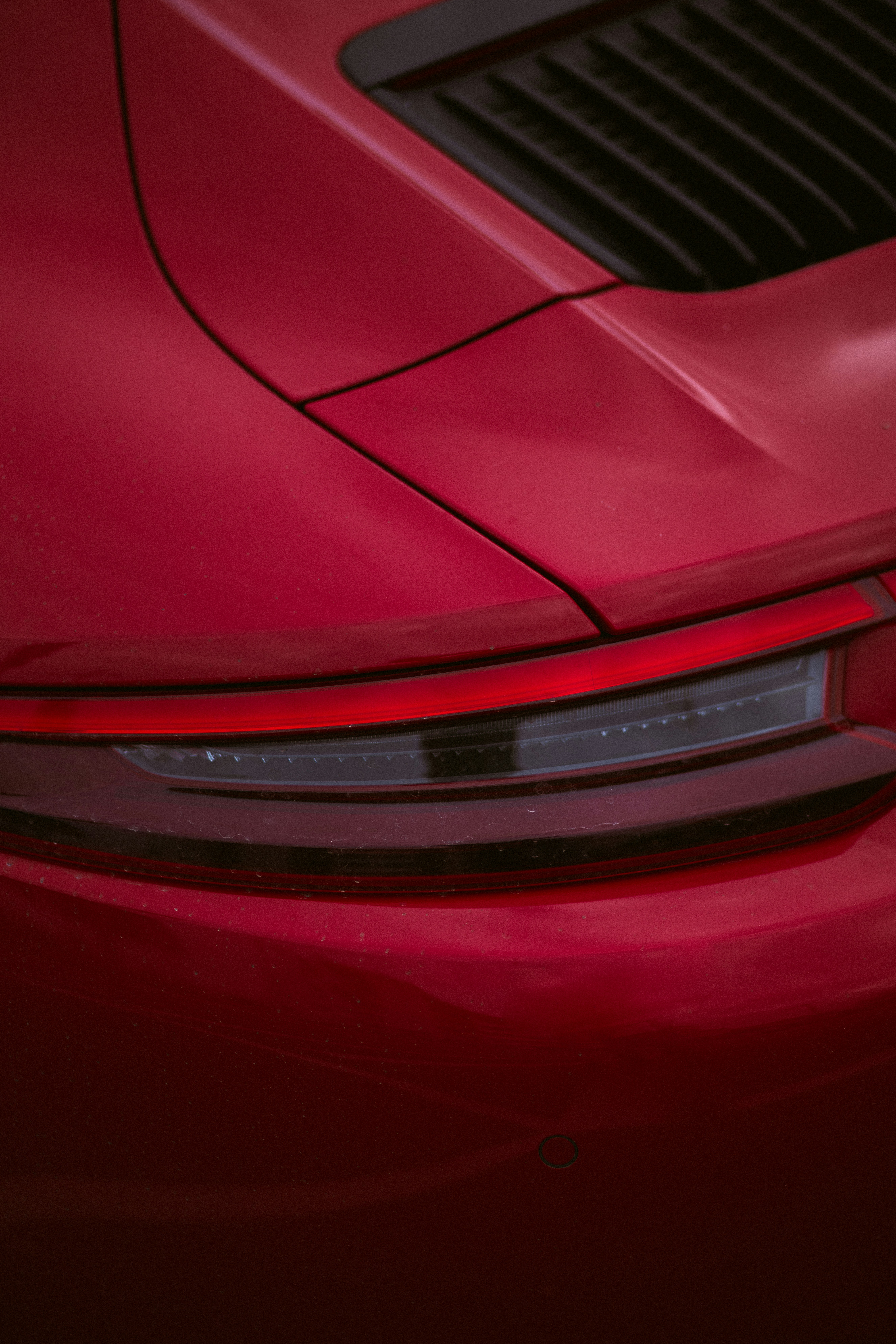 Photo by brunovdkraan