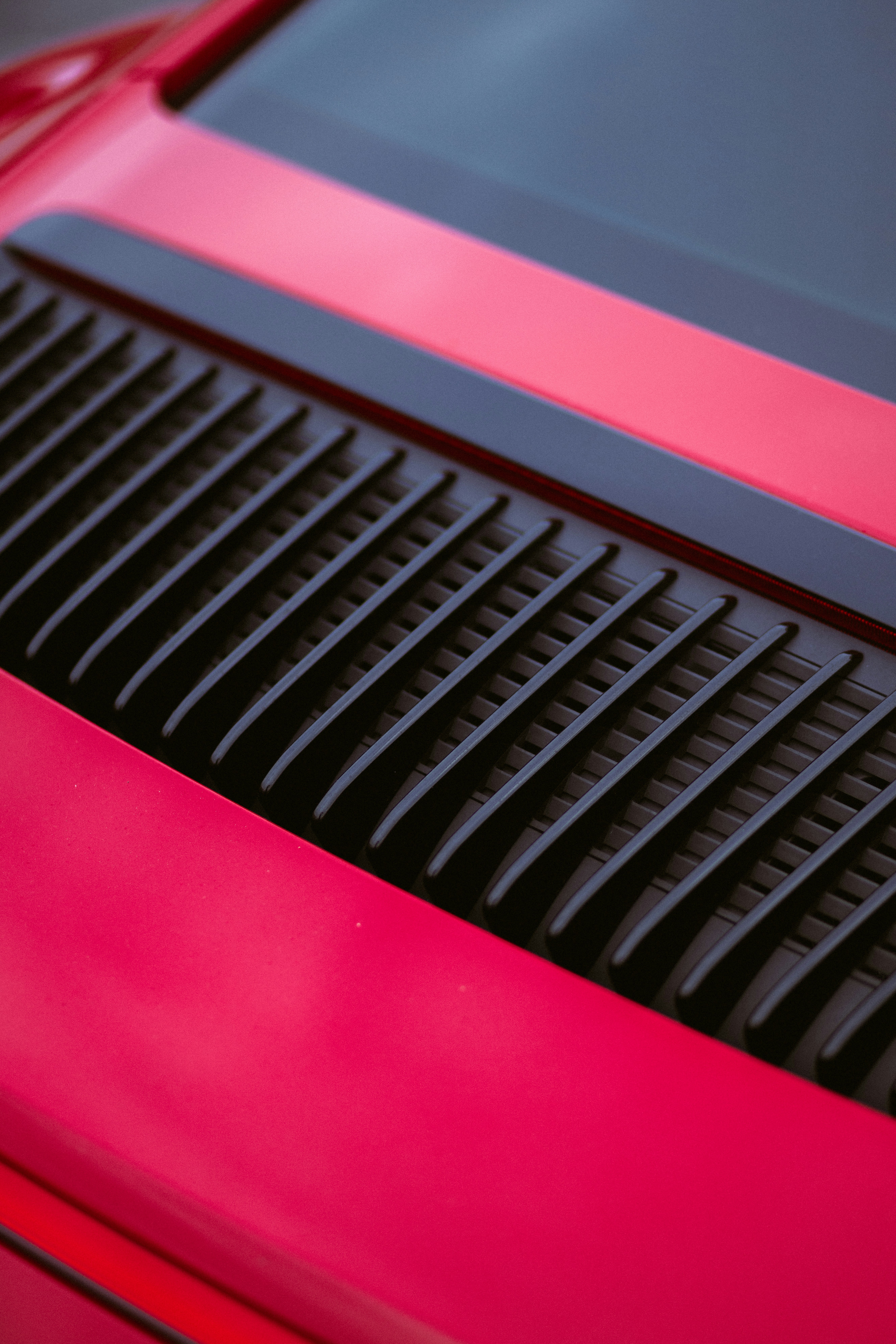 Photo by brunovdkraan