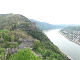Historic castle ruins overlooking a river in a forested landscape.