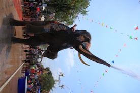 An elephant painted with colorful patterns is spraying water from its trunk. A crowd of people, some of whom appear to be children, are gathered around the elephant, many with buckets in their hands. The setting is festive, with numerous colorful flags strung across the sky and vibrant greenery in the background.