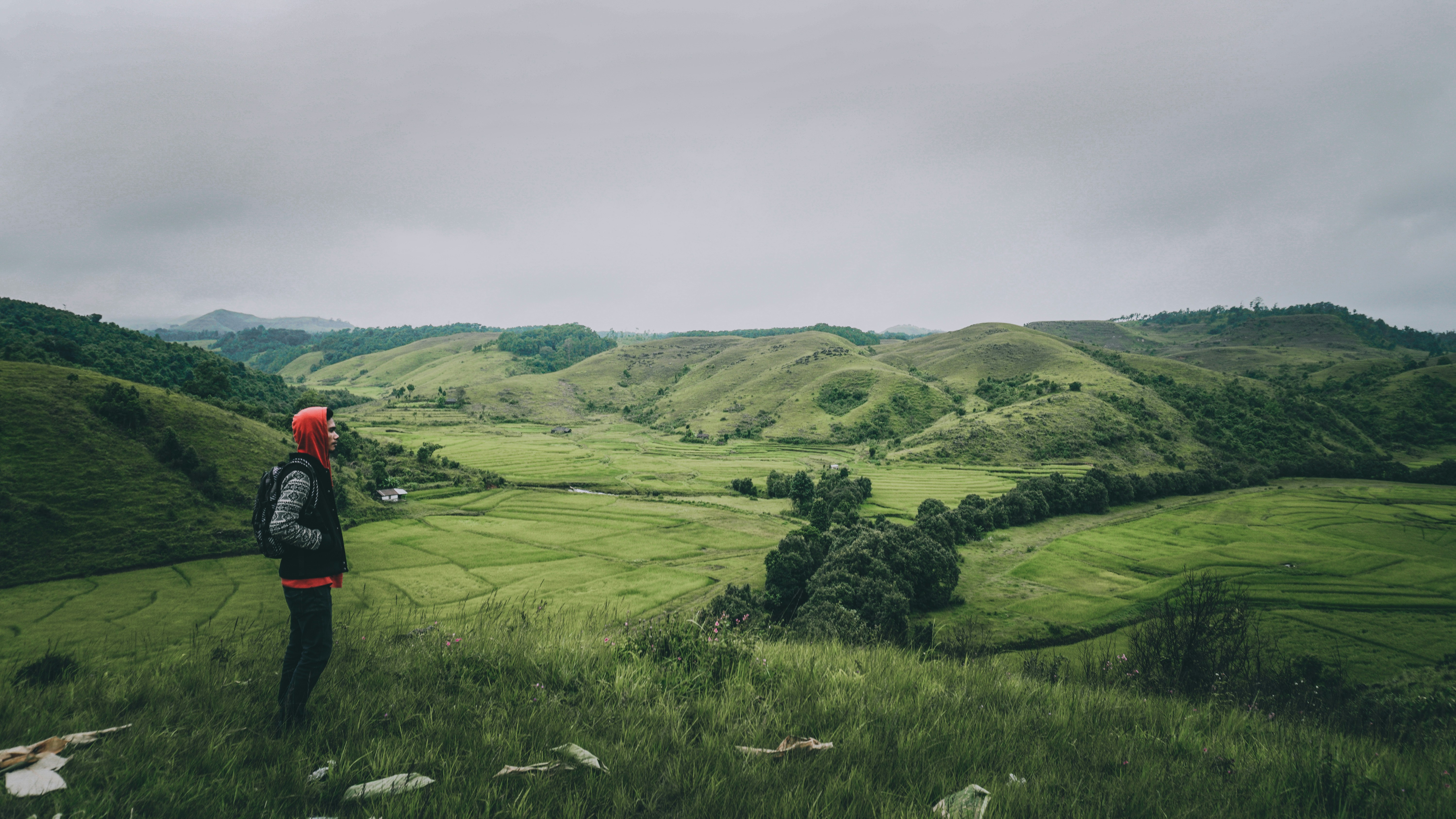 Photo by bhupen_boro_