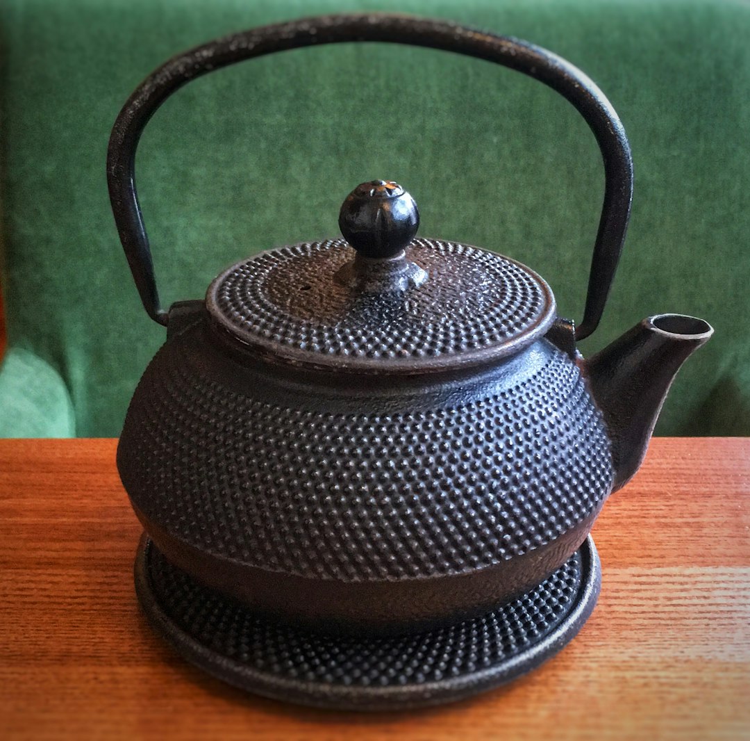 Enamel Cast Iron Tea Kettle