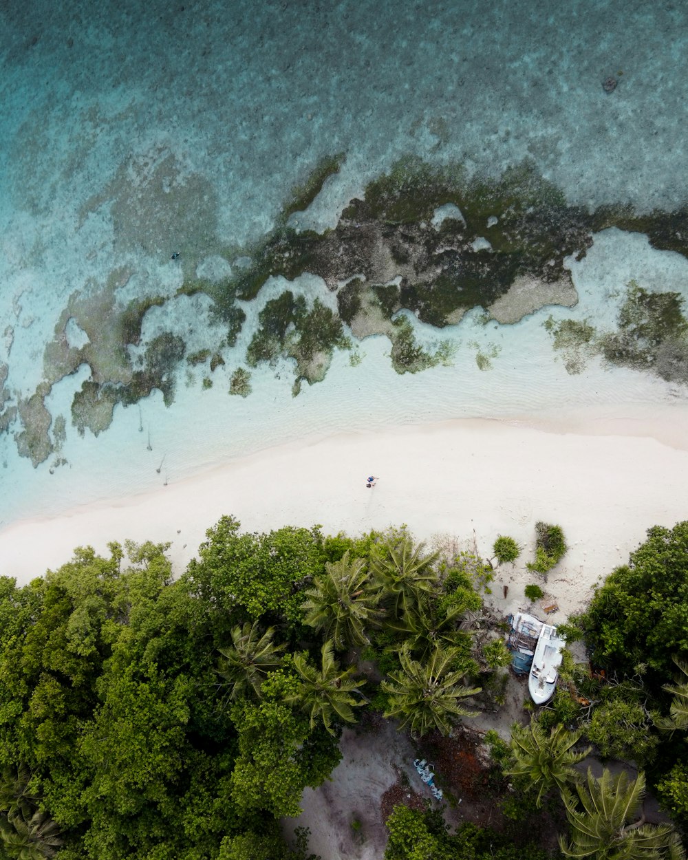 aerial photography of seashore