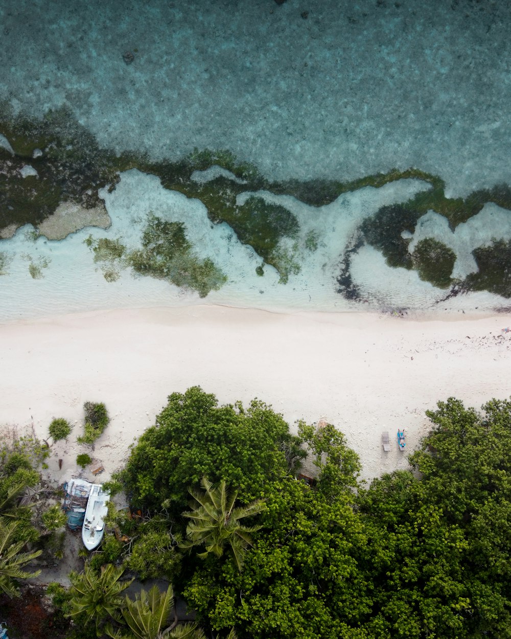 aerial photograph of beach