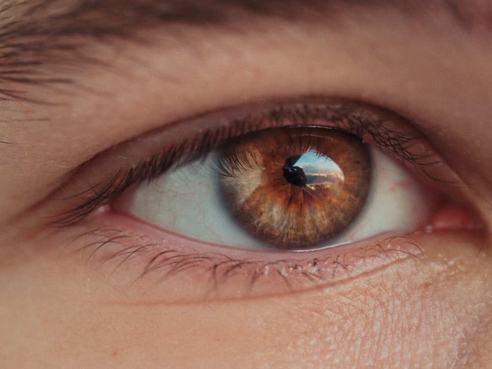 closeup photo of person's eye iris, eye pupil, and eye cornea
